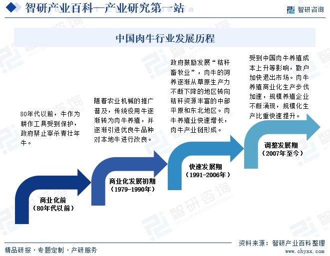 粮食企业融资报告计划书(粮食企业财务分析报告范文)