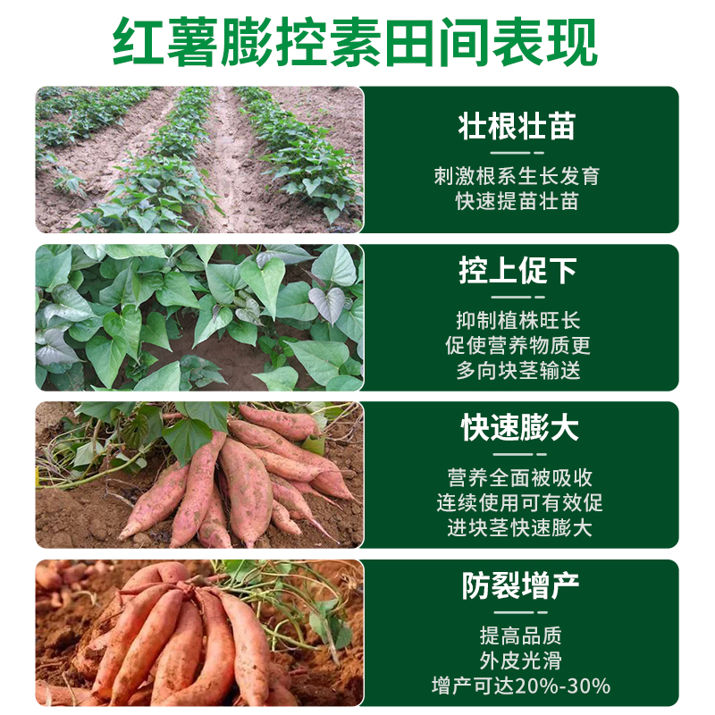 马铃薯复合肥用量(马铃薯施肥亩用肥量)