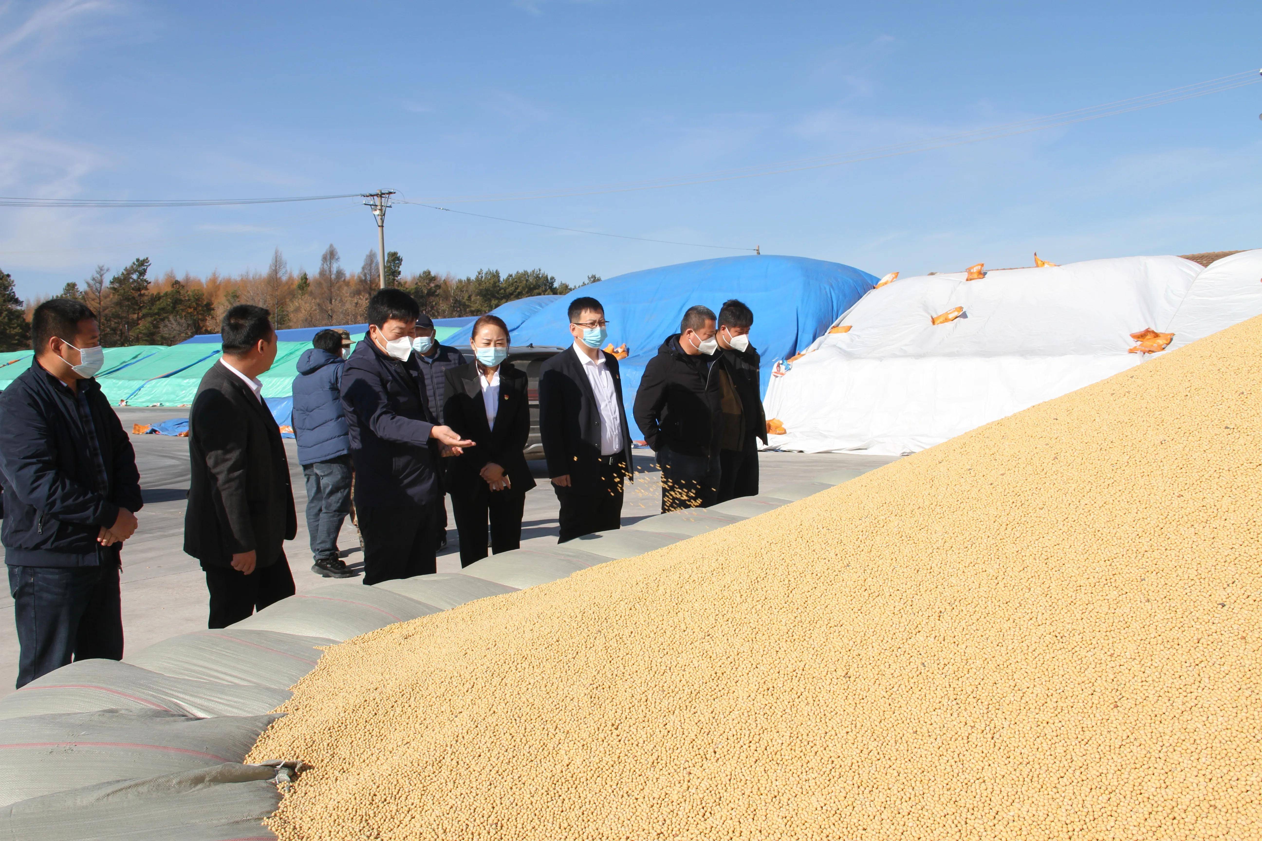 粮食企业违规经营管理行为(粮食企业经营方面存在的问题)