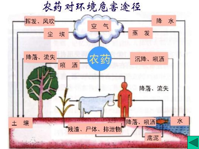 水稻药害防治(水稻病害防治药剂)
