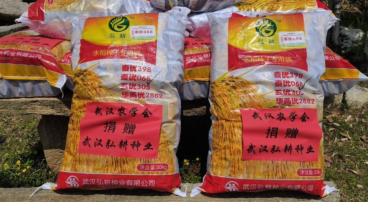合作社可以代销水稻种子吗(合作社可以代销水稻种子吗为什么)