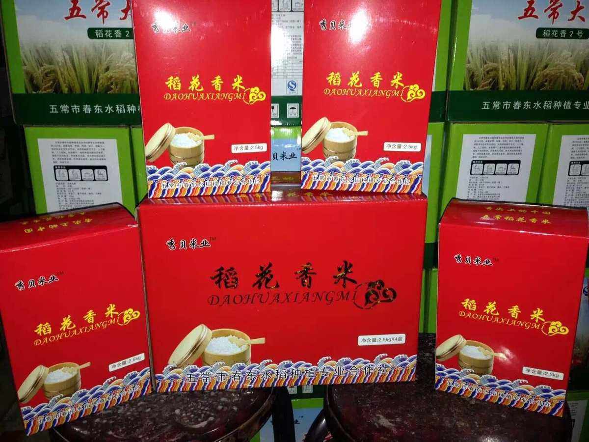 水稻礼盒种植视频(水稻种植新技术高产量视频)