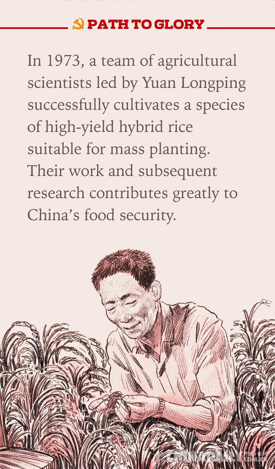 种水稻的英语(种水稻翻译成英文)