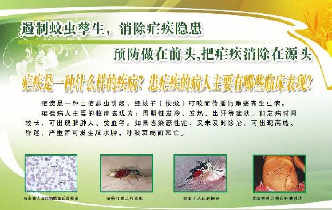防止水稻矮缩病(防止水稻矮缩病的措施)