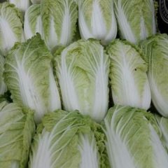 三仓镇收购粮食企业(三仓镇收购粮食企业有哪些)