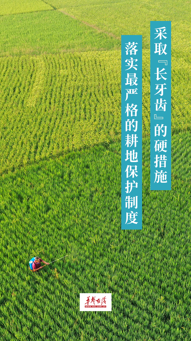 粮食企业发展保障措施(粮食企业发展保障措施方案)