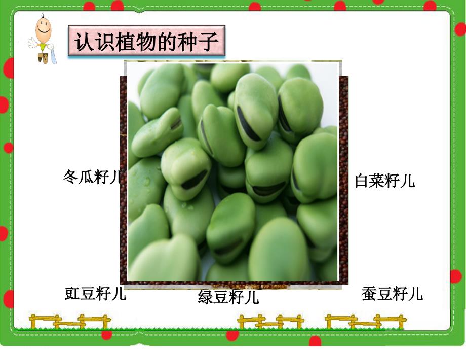 湖南水稻种子怎么样育种(湖南水稻种植时间和收获时间)