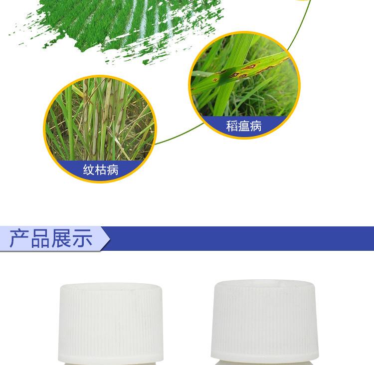 喷水稻的农药(喷水稻农药脚庠)