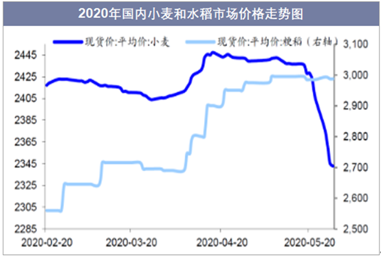 今年水稻粮价(今年水稻价是多少钱一斤)