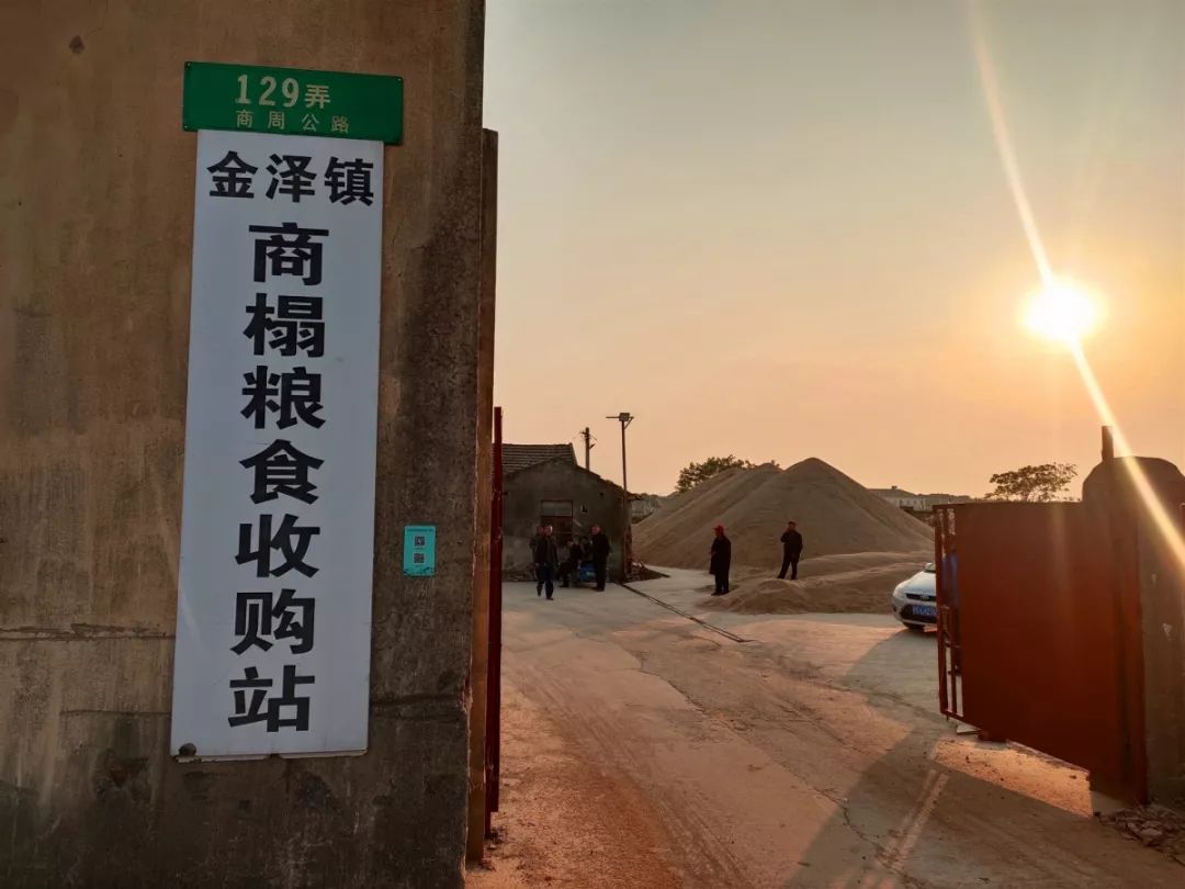 浚县新镇收购粮食企业名单(浚县新镇收购粮食企业名单最新)