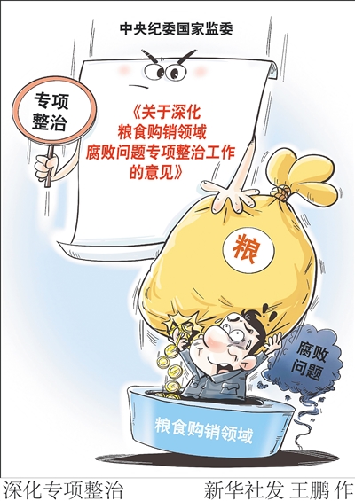 国有粮食企业专项整治(国有粮食企业专项整治报告)