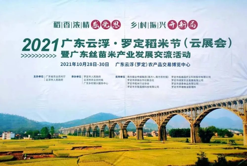 水稻展览策划(水稻现场会策划)