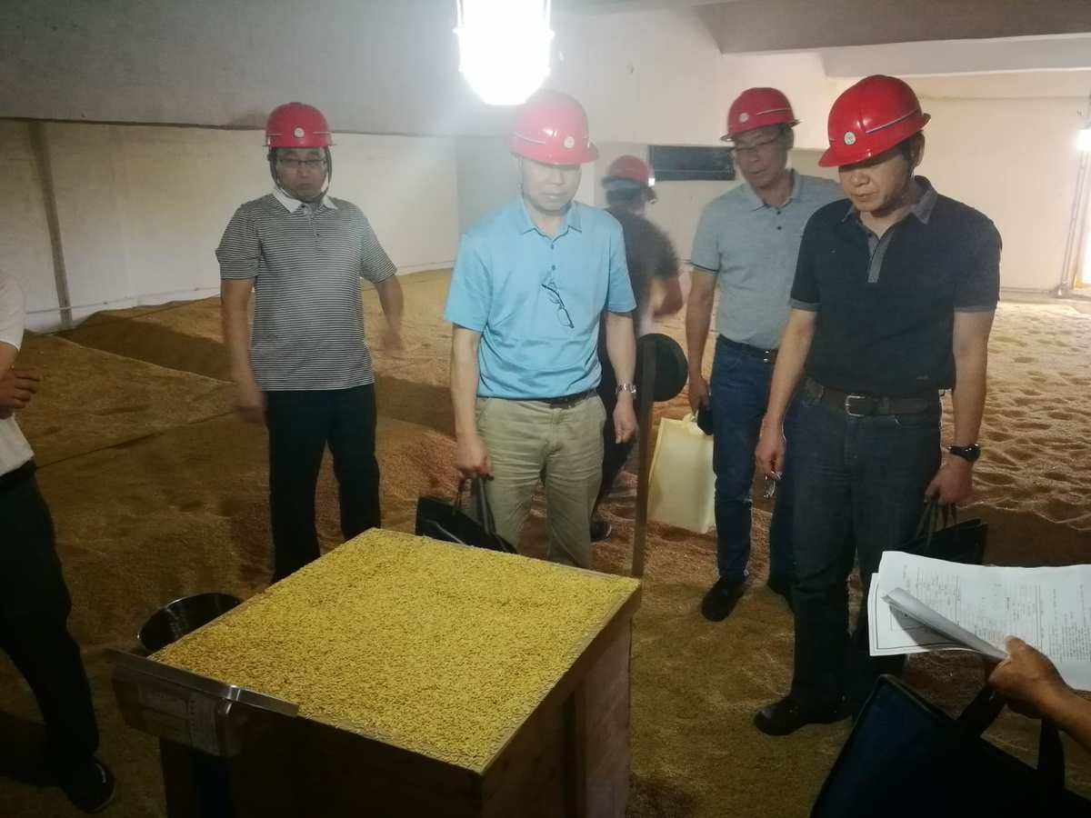 对粮食企业监督检查工作(对粮食企业监督检查工作的意见)