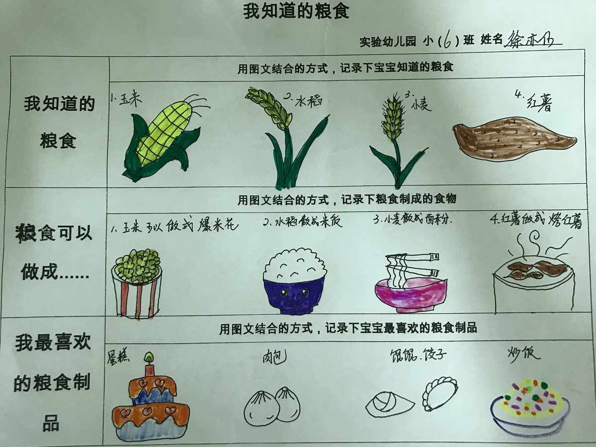 幼儿对水稻的了解(幼儿水稻的课程故事)