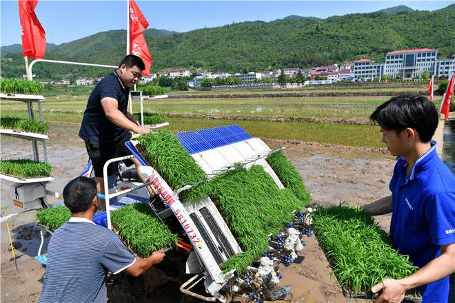 邮储银行助力水稻种植政策的简单介绍