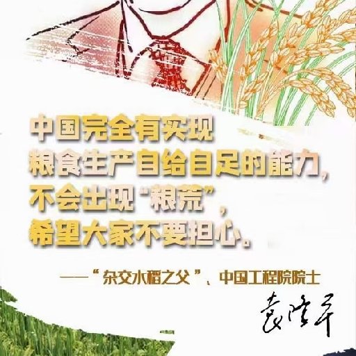 水稻小说(穿越九岁嫡女有空间种水稻小说)